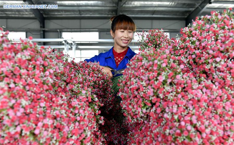 Herstellung künstlicher Blumen dient Armutsbefreiung in Ningxia
