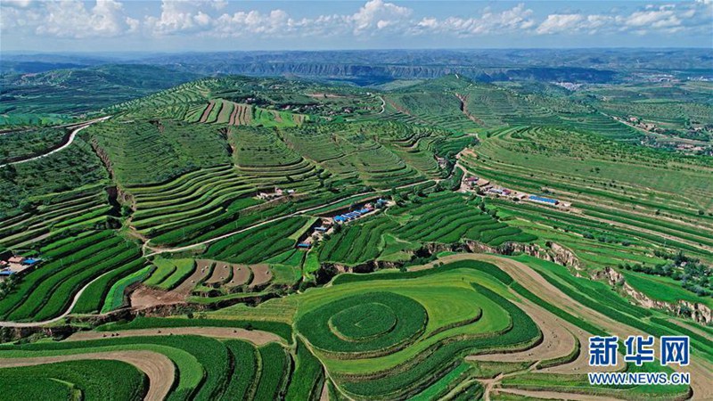 60 Jahre in Ningxia: Von unfruchtbar zu umweltfreundlich 