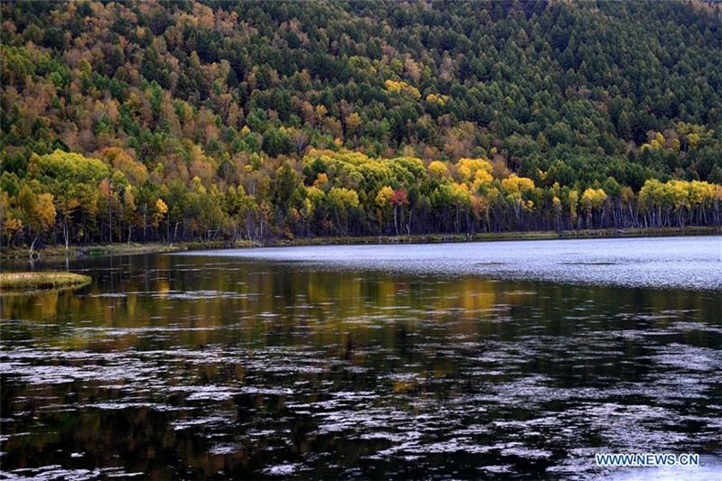 Atemberaubend sch?ne Landschaft in Arxan