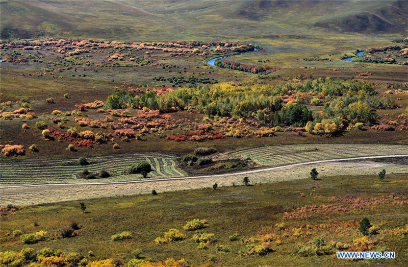 Atemberaubend sch?ne Landschaft in Arxan