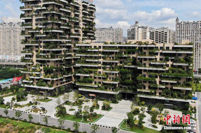 Grünes Geb?ude wird Online-Hit