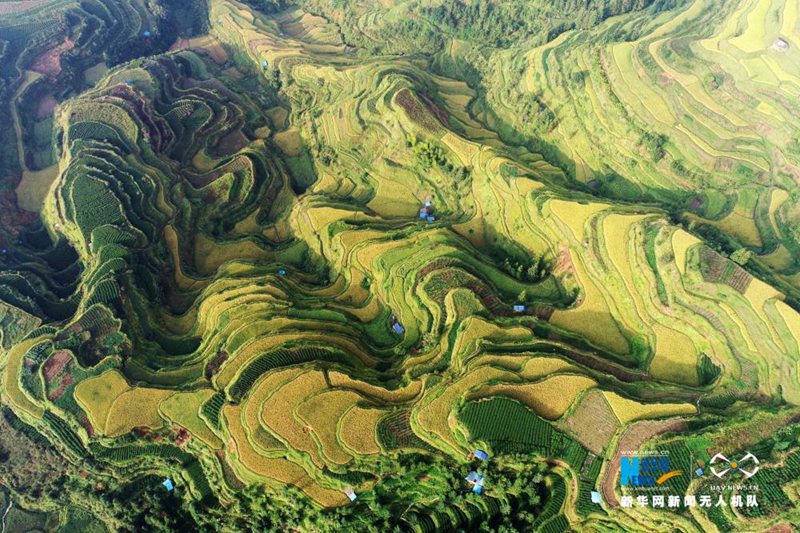 Luftaufnahme: Sch?ne Herbstlandschaft in Guangxi