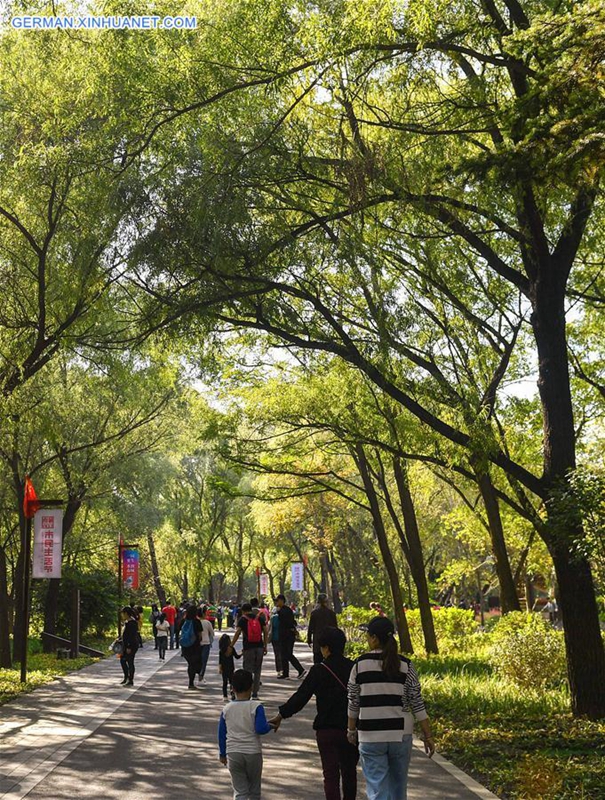 Herbstlandschaft im ?kologischen Park in Jilin