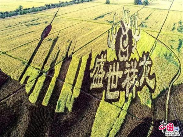 Reisfeldkunst in Shenyang erschafft ein M?rchenland