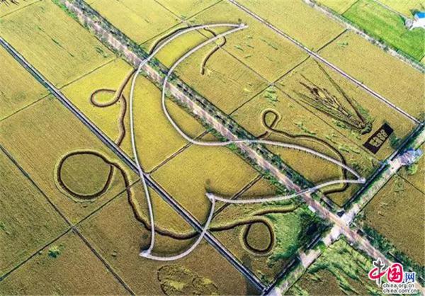 Reisfeldkunst in Shenyang erschafft ein M?rchenland