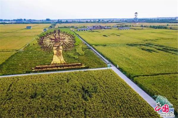 Reisfeldkunst in Shenyang erschafft ein M?rchenland