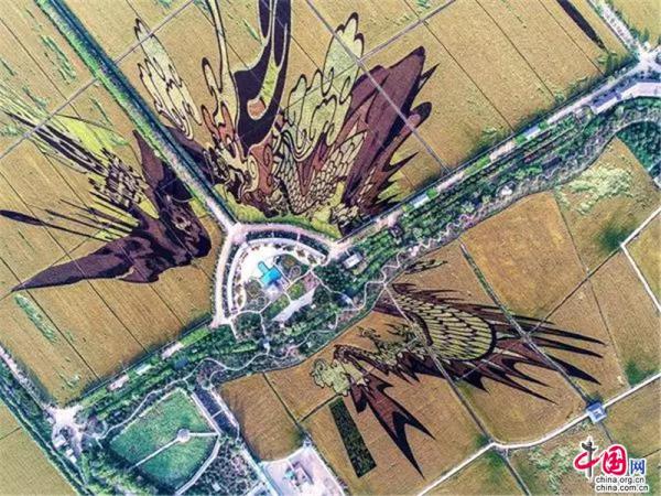 Reisfeldkunst in Shenyang erschafft ein M?rchenland