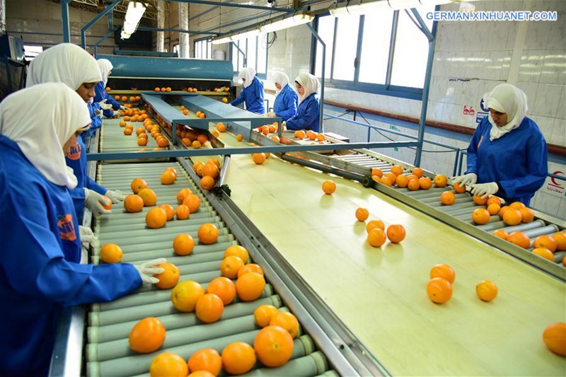 ?gyptischer Gesch?ftsmann: Import Expo in Shanghai wird ?gyptische Exporte nach China erh?hen