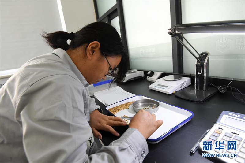 Weltern?hrungstag: ein Besuch im nationalen Getreidespeicher