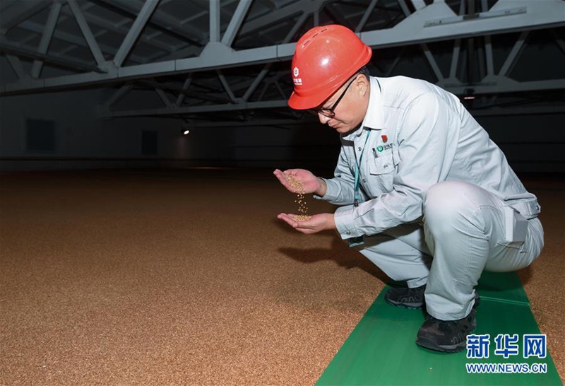 Weltern?hrungstag: ein Besuch im nationalen Getreidespeicher