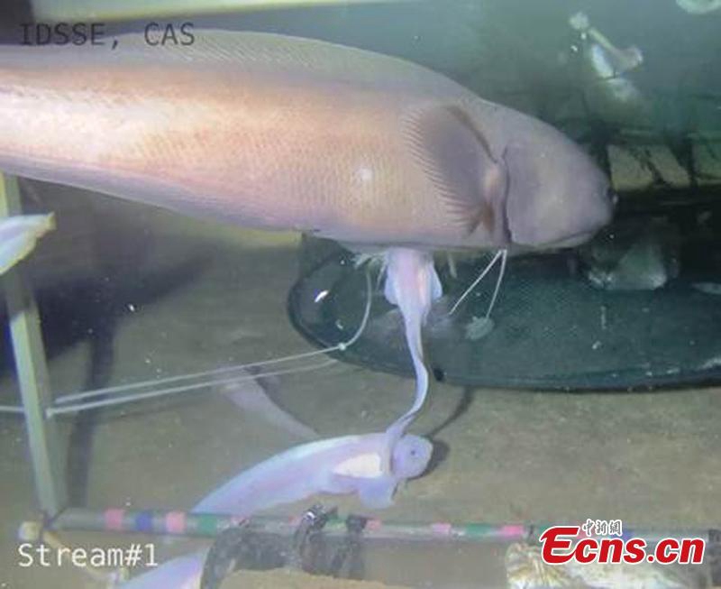 Chinesische Wissenschaftler auf Tiefsee-Forschungsmission im Marianengraben