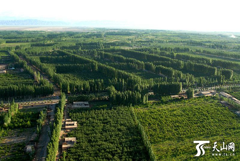 ?kologisches Projekt von Kekeya: Ein von Menschenhand geschaffenes Wunder