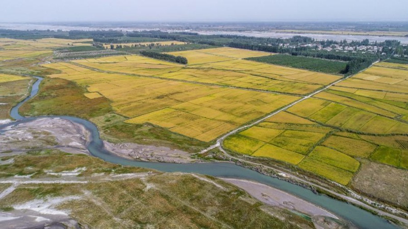 ?kologisches Projekt von Kekeya: Ein von Menschenhand geschaffenes Wunder