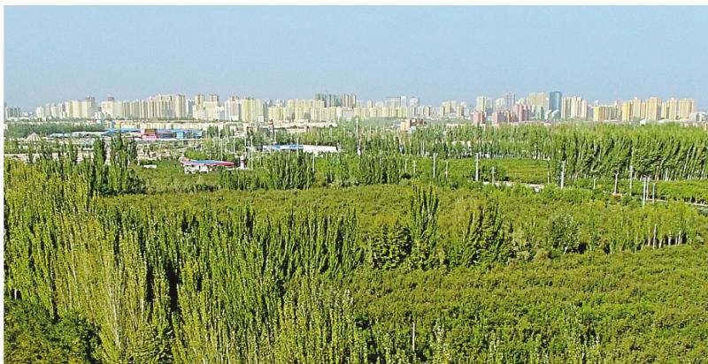 ?kologisches Projekt von Kekeya: Ein von Menschenhand geschaffenes Wunder