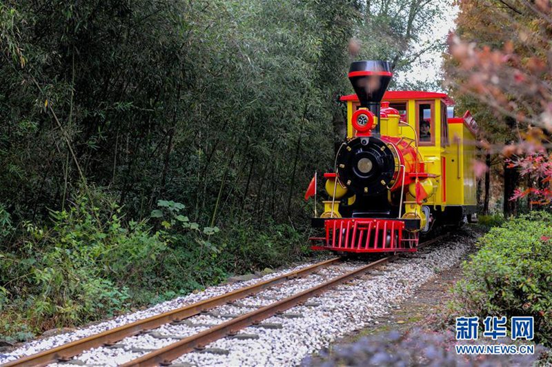 Ostchinesisches Dorf arbeitet aktiv an der Ankurbelung seiner Wirtschaft 