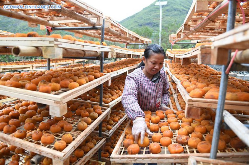Obstanbau dient Einkommenserh?hung der Bauern in Pingle