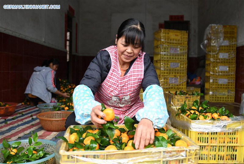 Obstanbau dient Einkommenserh?hung der Bauern in Pingle