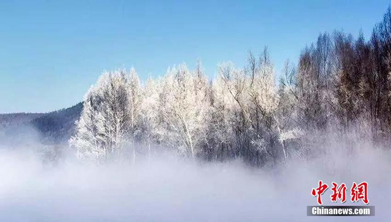 Minus 38 Grad Celsius: sch?ner Raureif in der k?ltesten Gemeinde Chinas