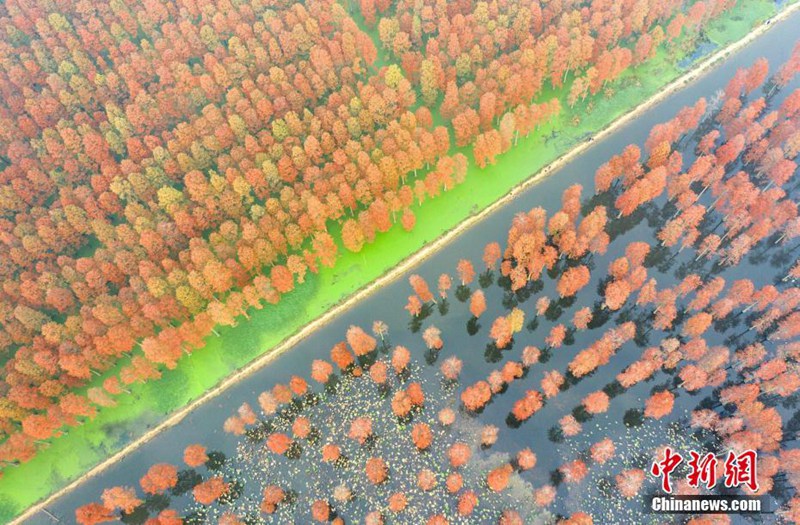 Winterlandschaft von Feuchtgebiet Zhangduhu