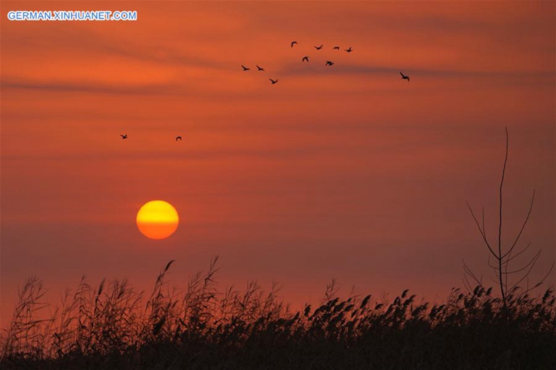 Sonnenaufgang in Baiyangdian in Xiong'an New Area