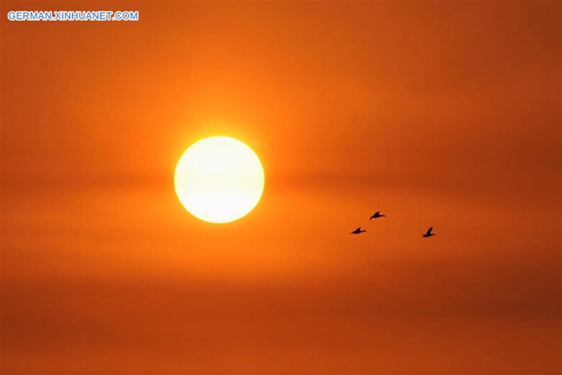 Sonnenaufgang in Baiyangdian in Xiong'an New Area