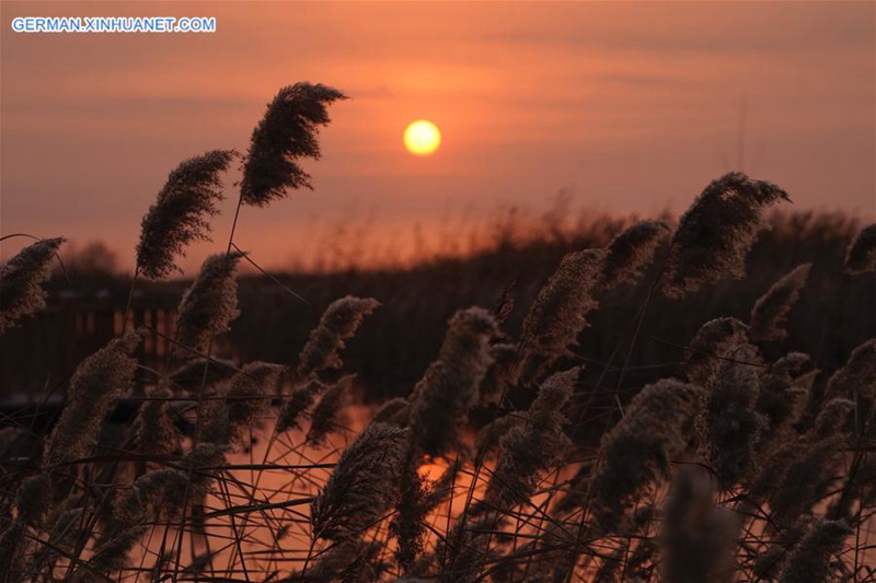 Sonnenaufgang in Baiyangdian in Xiong'an New Area