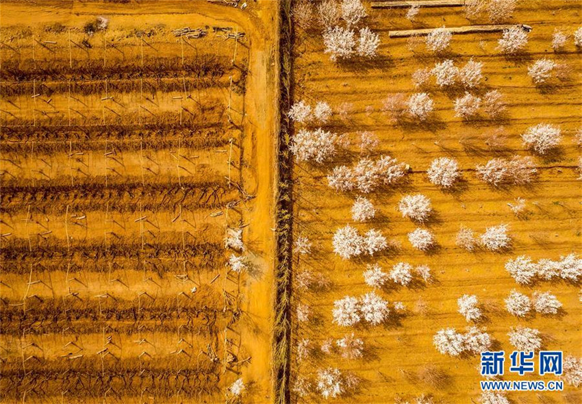 Fr?hliche Reise in sch?nem Xinjiang