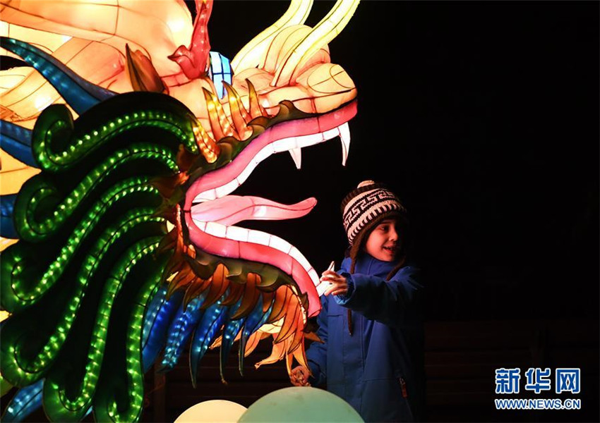 Chinesische Lichter erstrahlen im K?lner Zoo