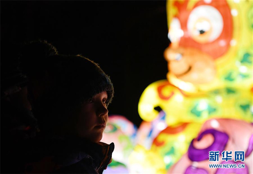 Chinesische Lichter erstrahlen im K?lner Zoo