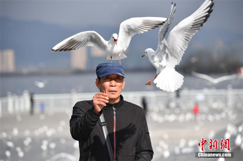 M?wen freuen sich über das Zuhause in Südchina