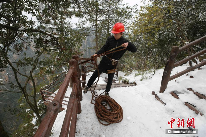 Müllsammeln am Steilhang