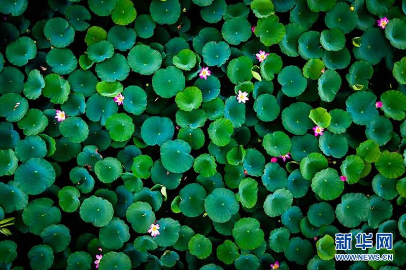 Zehn sch?ne Luftaufnahmen der Stadt Xiongan