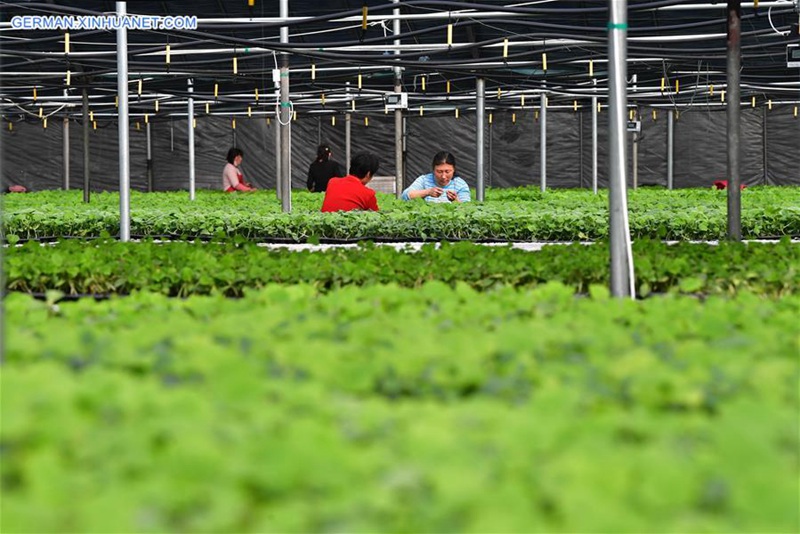 Dorfbewohner besch?ftigen sich im Vorfrühling mit Landarbeit