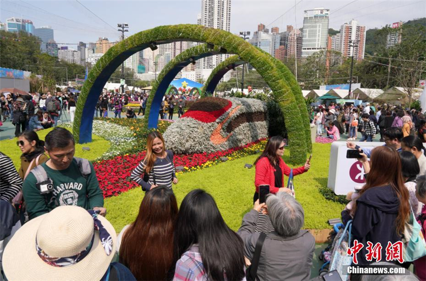 Hongkonger Blumenschau er?ffnet