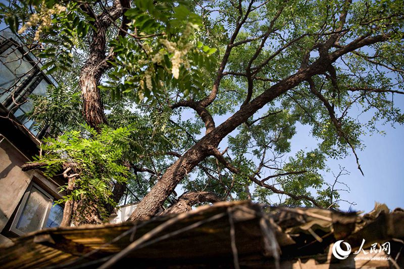 Tanja trifft … Beijing