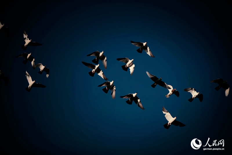 Tanja trifft … Beijing