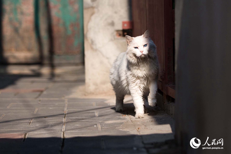 Tanja trifft … Beijing