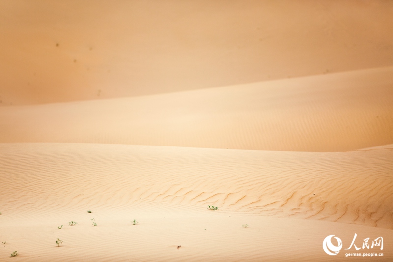 Die Innere Mongolei - Chinas wilder Norden