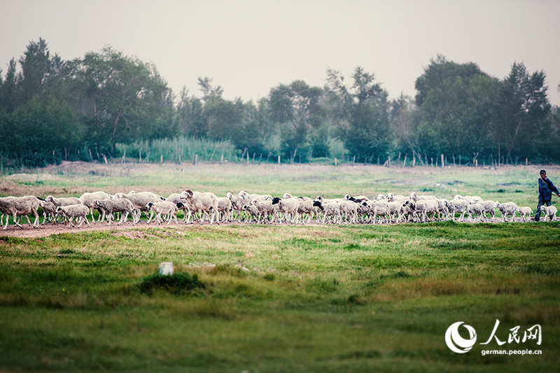 Tanja trifft … die Innere Mongolei