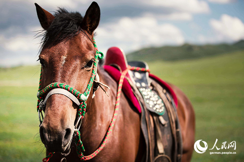 Tanja trifft … die Innere Mongolei