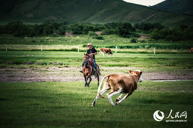 Tanja trifft … die Innere Mongolei