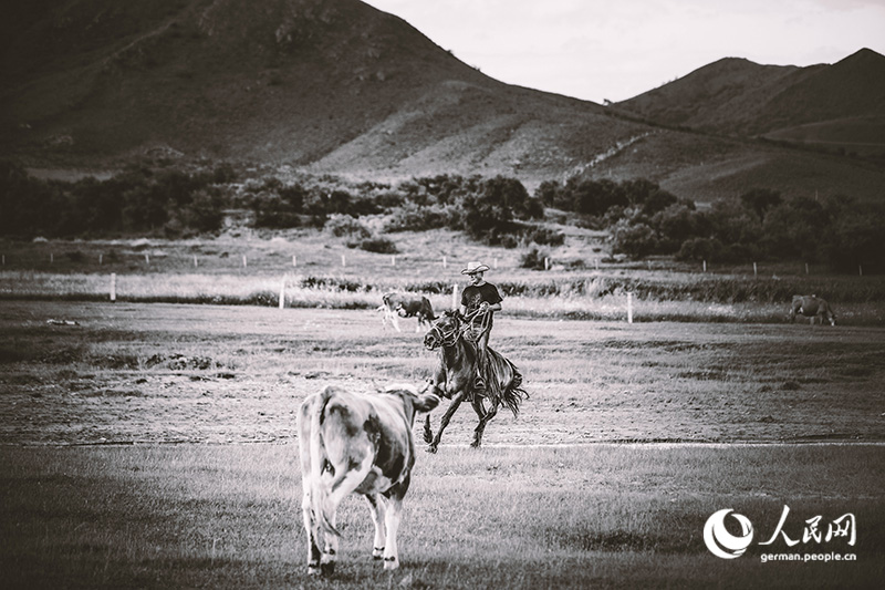 Pferde, Cowboys - Wilder Norden