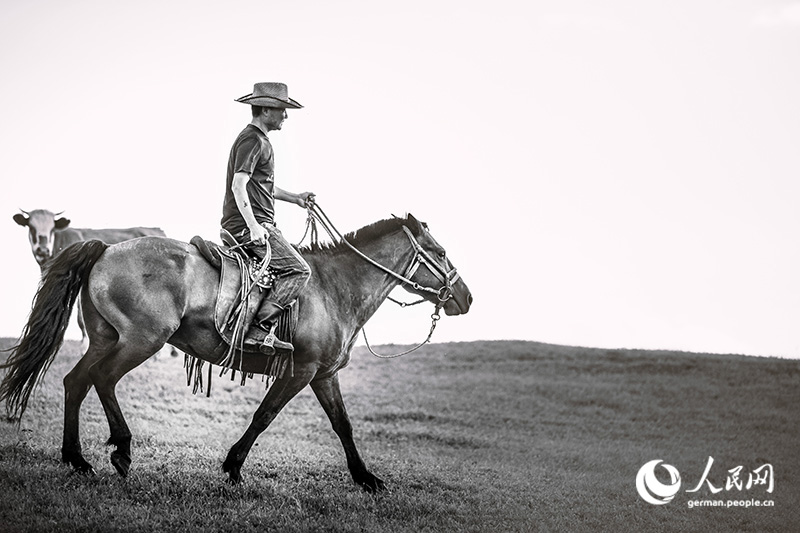 Pferde, Cowboys - Wilder Norden