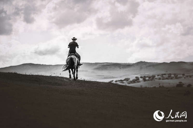 Pferde, Cowboys - Wilder Norden