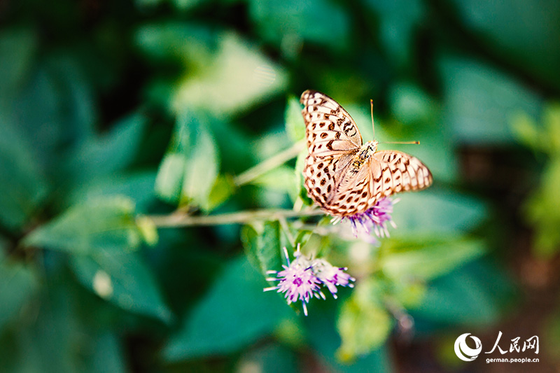 Endlich ist es wieder soweit: Das Wochenende steht vor der Tür!