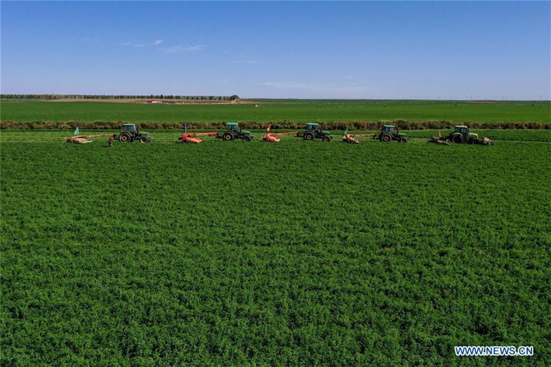 Menschen im ganzen Land feiern das chinesische Erntedankfest