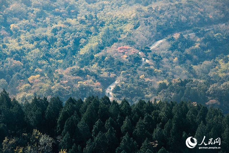 Ein Herbstspaziergang im Baiwangshan-Waldpark