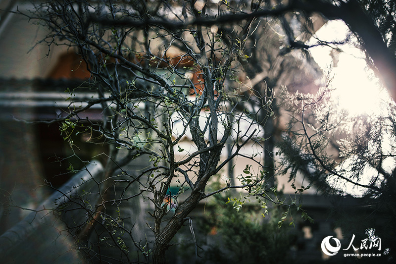 Ein Herbstspaziergang im Baiwangshan-Waldpark