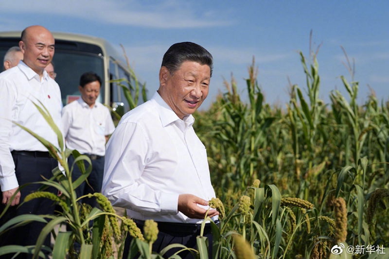 Xi inspiziert die nordwestchinesische Provinz Shaanxi