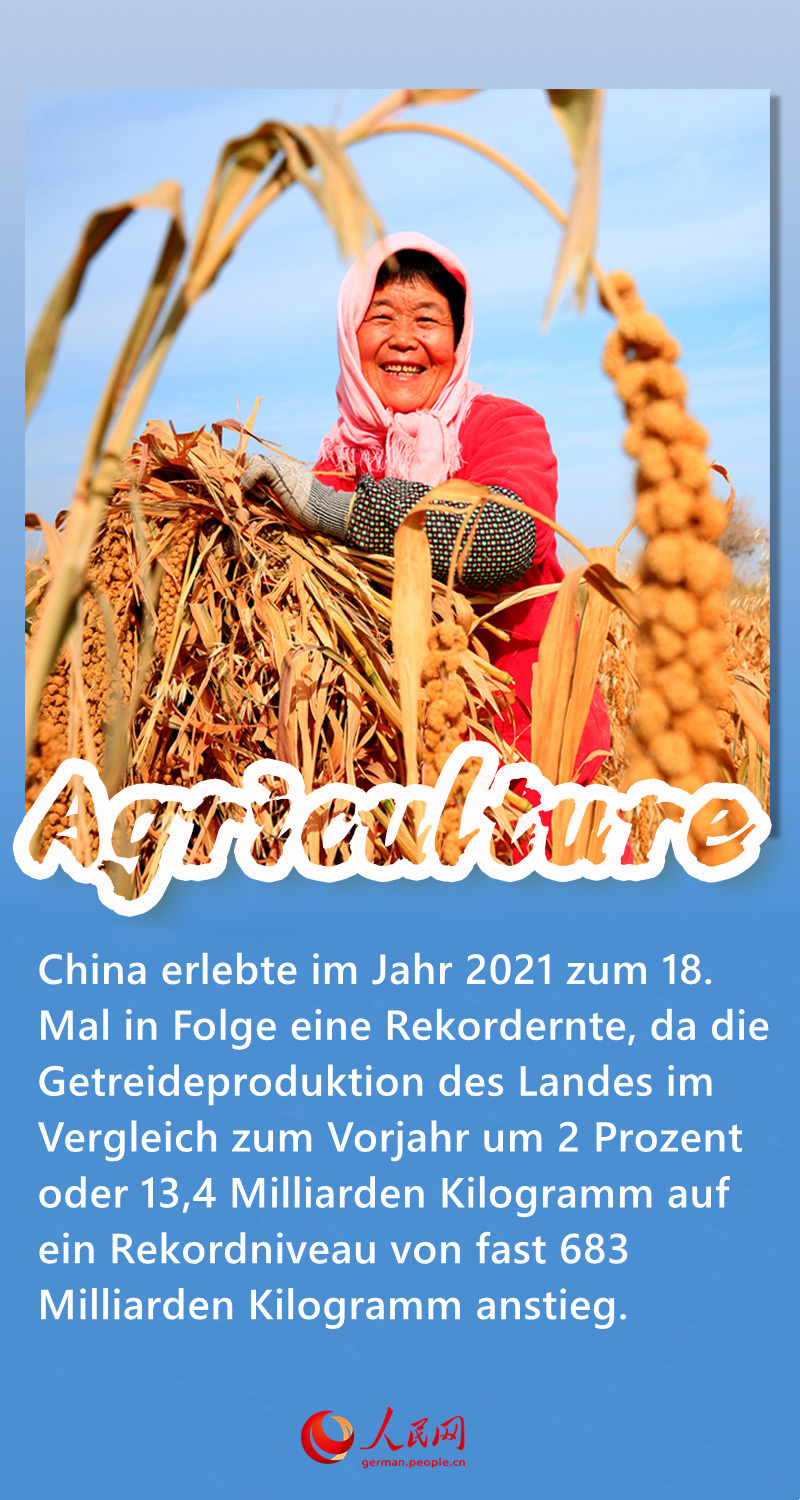 Ein Blick auf Chinas Wirtschaft 2021